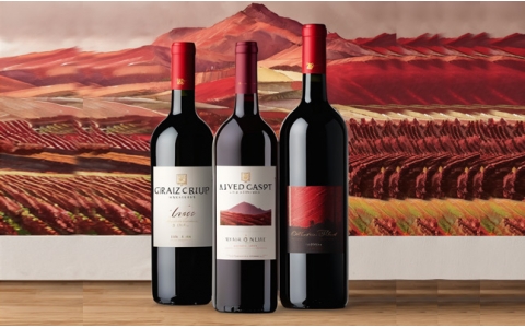 重慶好酒網(wǎng)上線法國列級莊高端進(jìn)口紅酒